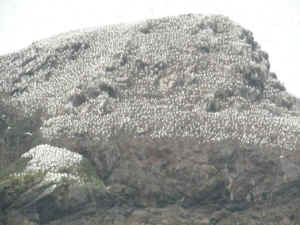 DSCN1838.jpg (181563 octets)