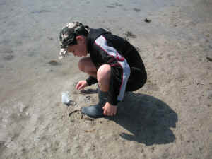DSCN1855.jpg (242636 octets)