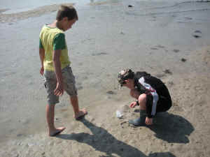 DSCN1856.jpg (214751 octets)