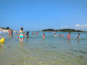 DSCN0038.jpg (119819 octets)