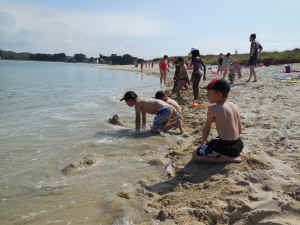 DSCN0041.jpg (231334 octets)