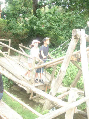 DSC09410.jpg (161993 octets)