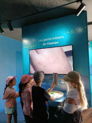 aqua p4.jpg (220503 octets)