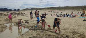 plage 23 17.jpg (599866 octets)