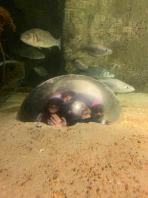 IMG-20230721-WA0033.jpg (275722 octets)