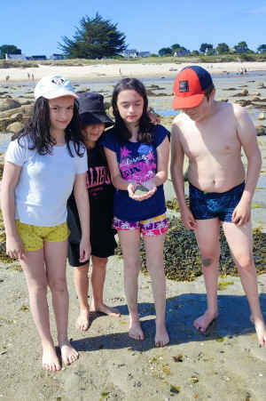 plage 1.jpg (1129753 octets)