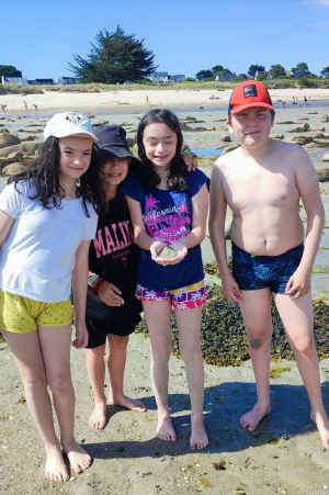 plage 2.jpg (1075040 octets)