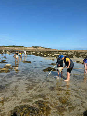 IMG-20240718-WA0000.jpg (386960 octets)