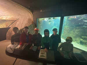 IMG-20240720-WA0036.jpg (327845 octets)