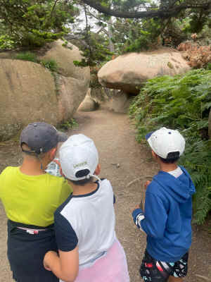 IMG-20240720-WA0044.jpg (535103 octets)